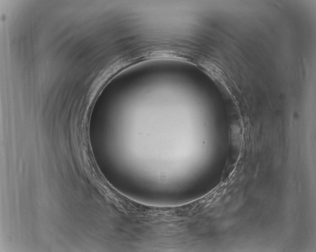 X0000063530289200601201505