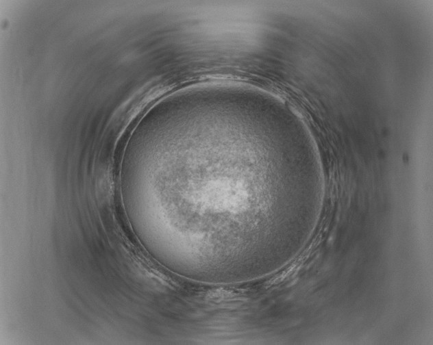 X0000063530290200601201505