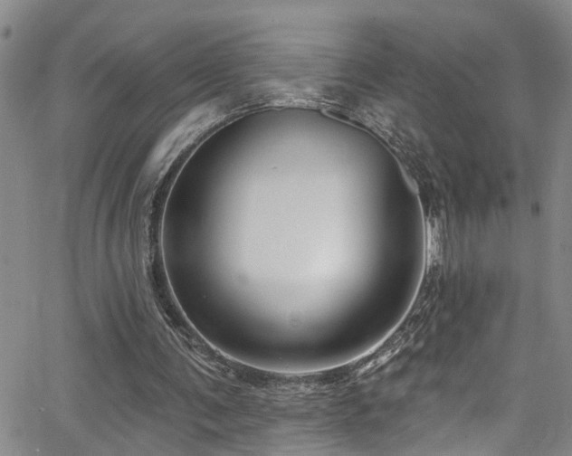 X0000063530291200601201505