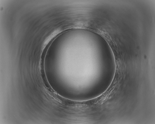 X0000063530292200601201505