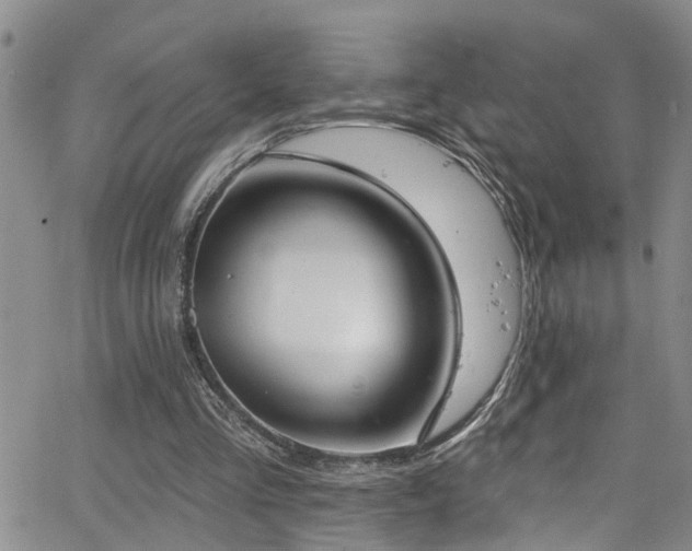 X0000063530293200601201505