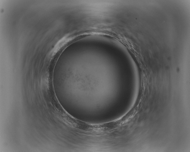 X0000063530295200601201505