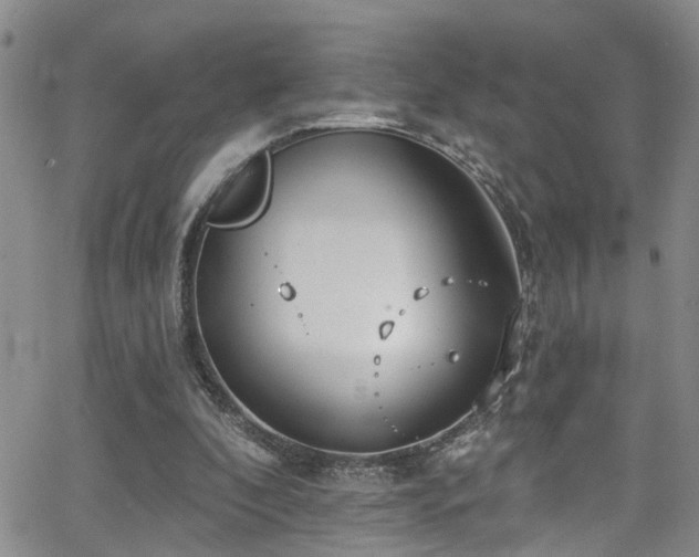 X0000063530296200601201505