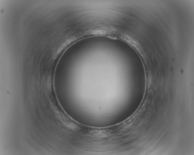 X0000063530297200601201505