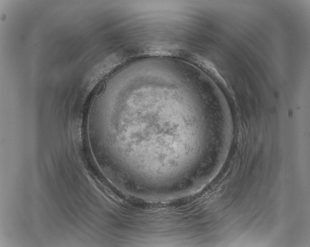 X0000063530299200601201505