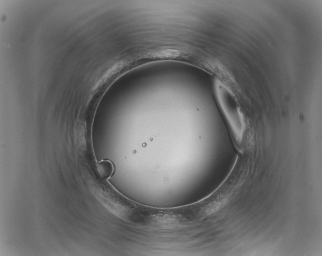 X0000063530300200601201505