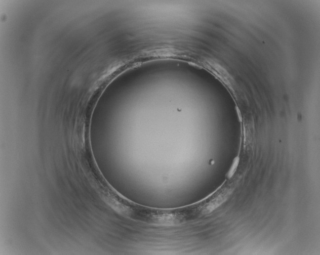 X0000063530301200601201505