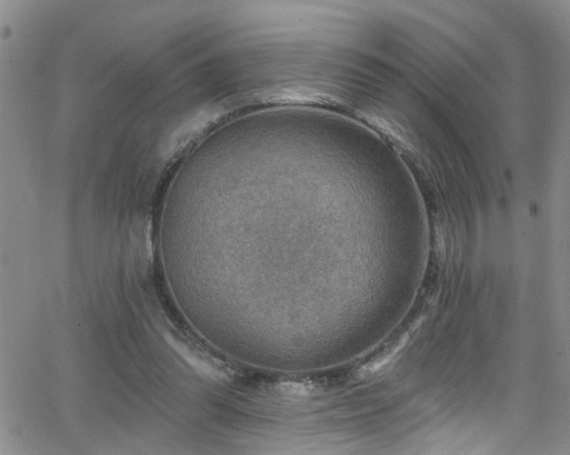 X0000063530302200601201505