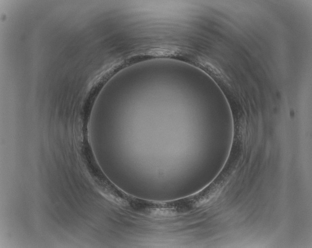 X0000063530303200601201505