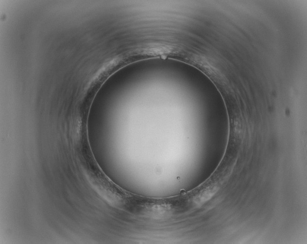 X0000063530304200601201505