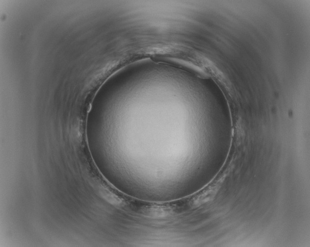 X0000063530305200601201505