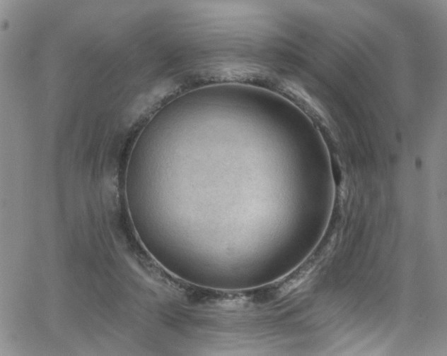 X0000063530306200601201505