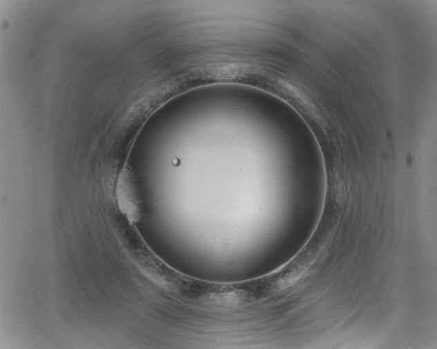 X0000063530307200601201505