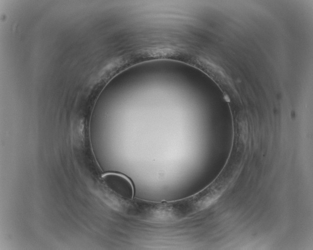 X0000063530308200601201505