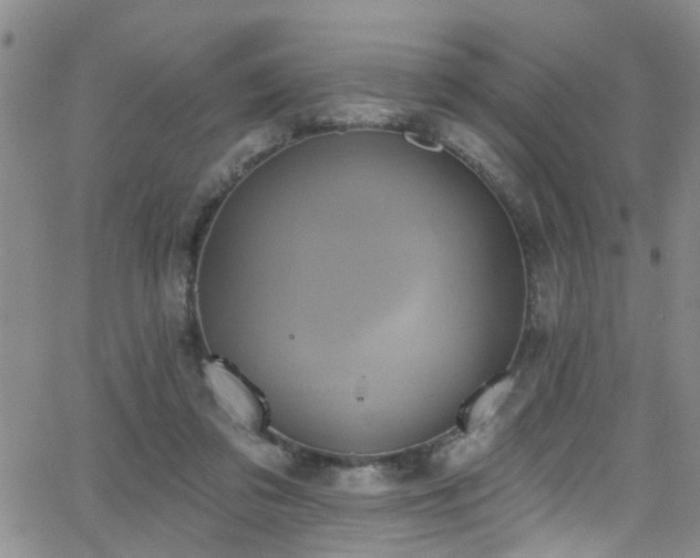 X0000063530309200601201505