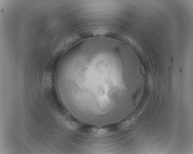 X0000063530311200601201505