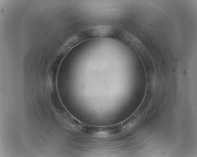 X0000063530312200601201505