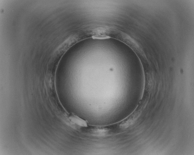 X0000063530313200601201505