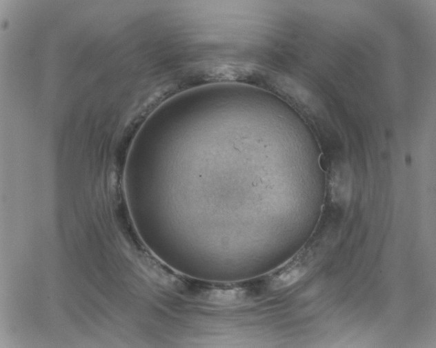 X0000063530314200601201505