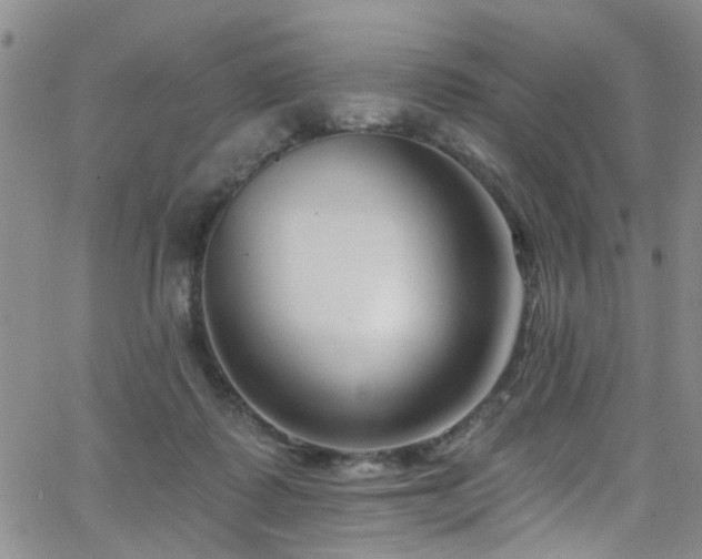 X0000063530315200601201505