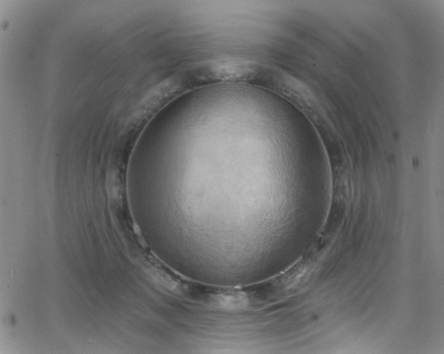 X0000063530317200601201505