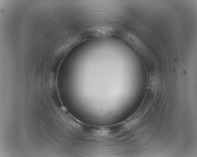 X0000063530318200601201505