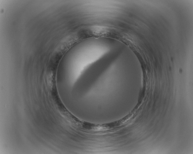 X0000063530319200601201505