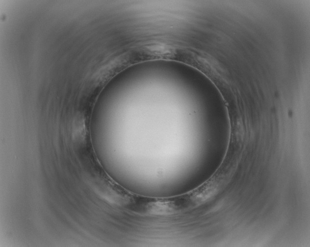 X0000063530320200601201505