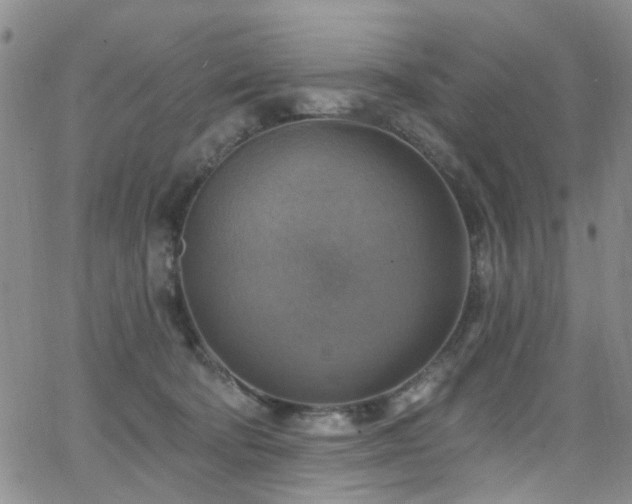 X0000063530322200601201505