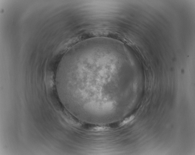 X0000063530323200601201504