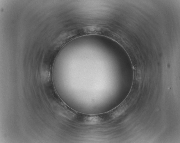 X0000063530324200601201504