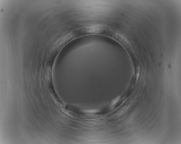 X0000063530325200601201504