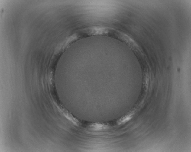 X0000063530326200601201504