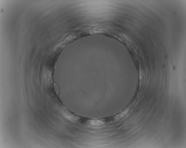 X0000063530327200601201504