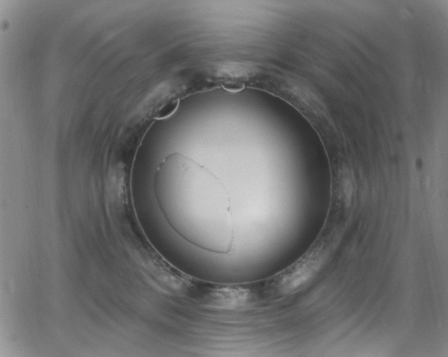 X0000063530328200601201504