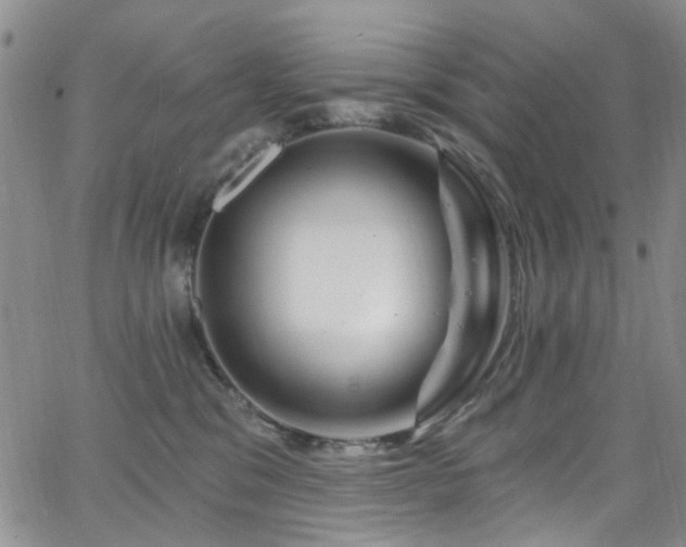 X0000063530329200601201504