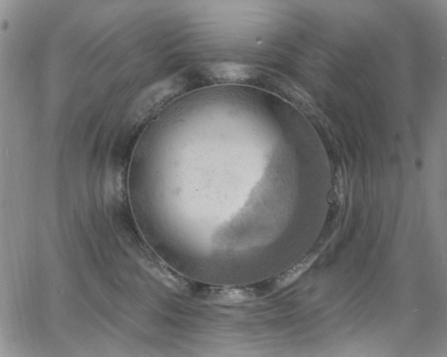 X0000063530330200601201504