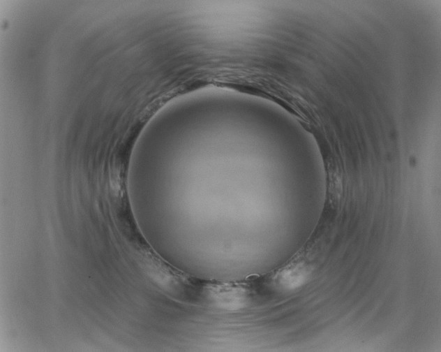 X0000063530331200601201504