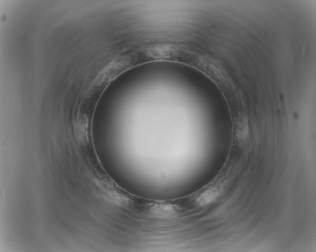 X0000063530332200601201504