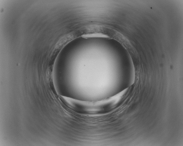 X0000063530333200601201504