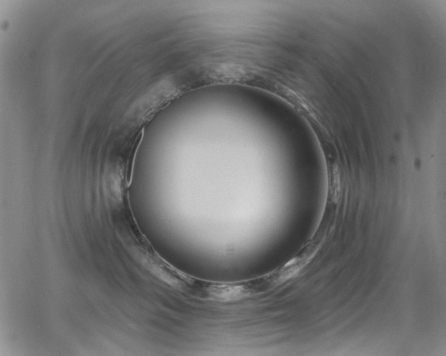 X0000063530334200601201504