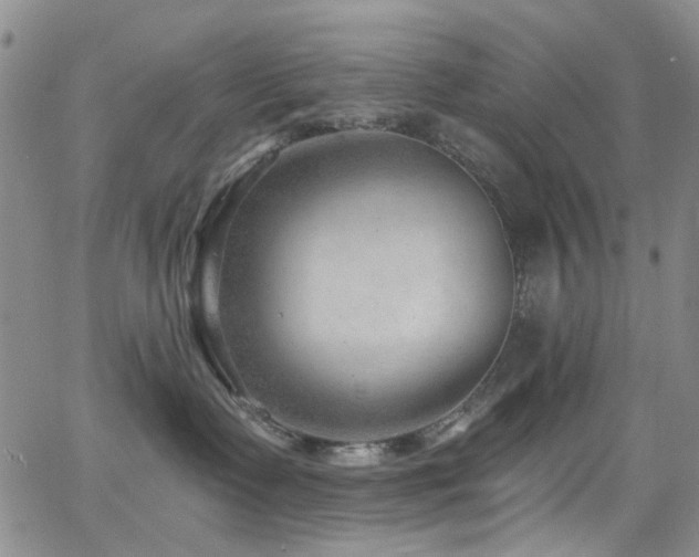 X0000063530335200601201504