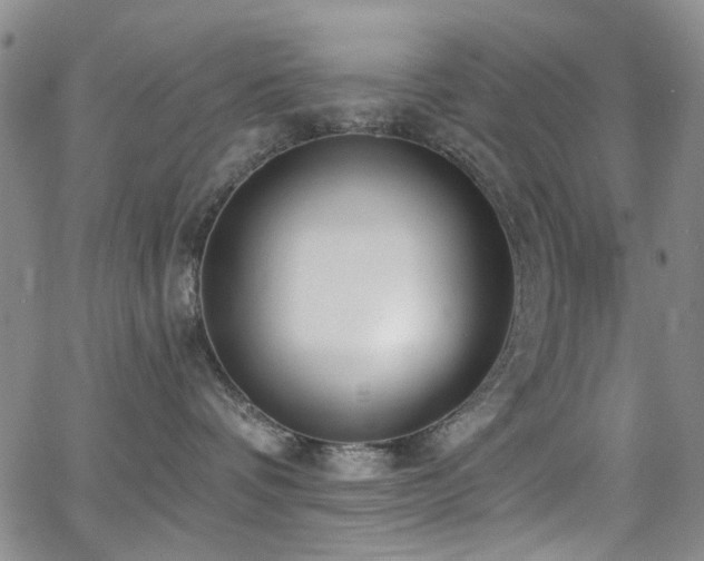 X0000063530336200601201504