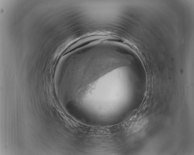 X0000063530337200601201503