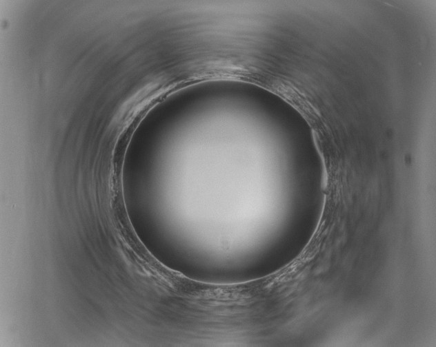 X0000063530338200601201504