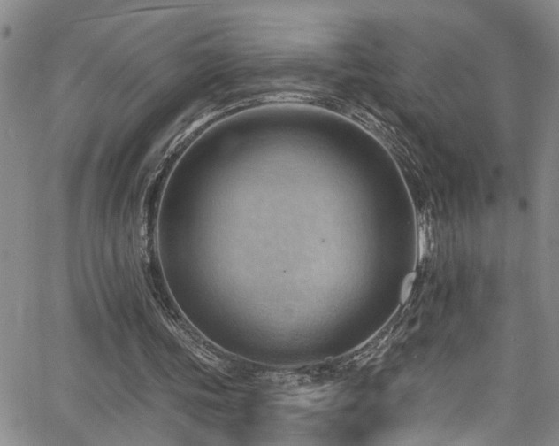 X0000063530339200601201504