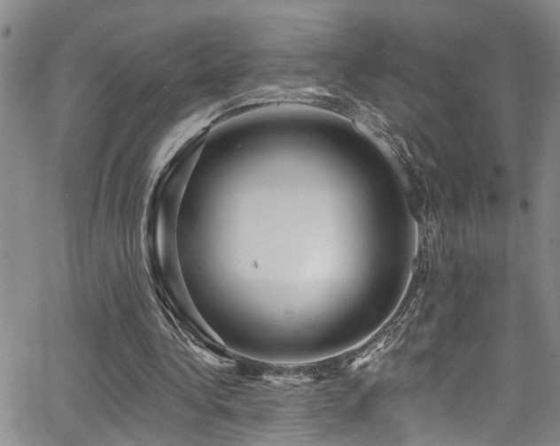 X0000063530340200601201504