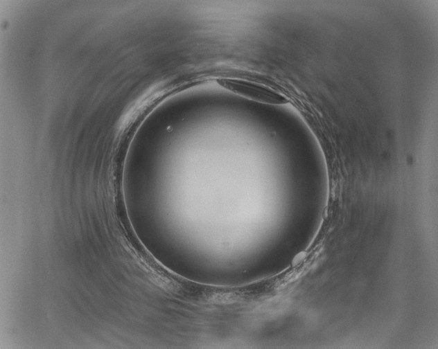 X0000063530341200601201504