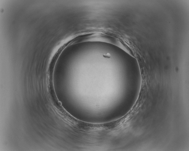 X0000063530342200601201504