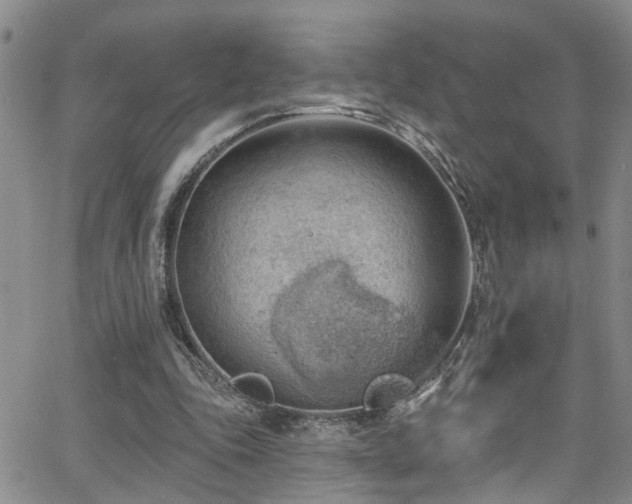 X0000063530343200601201504